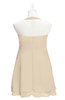 ColsBM Nathaly Novelle Peach Plus Size Bridesmaid Dresses Sleeveless Knee Length A-line Zipper Pleated Plain