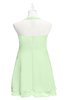 ColsBM Nathaly Pale Green Plus Size Bridesmaid Dresses Sleeveless Knee Length A-line Zipper Pleated Plain