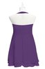 ColsBM Nathaly Pansy Plus Size Bridesmaid Dresses Sleeveless Knee Length A-line Zipper Pleated Plain