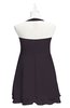 ColsBM Nathaly Perfect Plum Plus Size Bridesmaid Dresses Sleeveless Knee Length A-line Zipper Pleated Plain