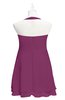 ColsBM Nathaly Raspberry Plus Size Bridesmaid Dresses Sleeveless Knee Length A-line Zipper Pleated Plain