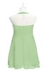 ColsBM Nathaly Sage Green Plus Size Bridesmaid Dresses Sleeveless Knee Length A-line Zipper Pleated Plain
