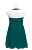 ColsBM Nathaly Shaded Spruce Plus Size Bridesmaid Dresses Sleeveless Knee Length A-line Zipper Pleated Plain