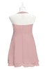 ColsBM Nathaly Silver Pink Plus Size Bridesmaid Dresses Sleeveless Knee Length A-line Zipper Pleated Plain