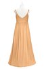 ColsBM Tinley Apricot Plus Size Bridesmaid Dresses A-line V-neck Brush Train Sleeveless Sexy Zipper