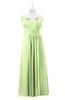 ColsBM Myah Butterfly Plus Size Bridesmaid Dresses Floor Length Zip up A-line Glamorous Pleated Scoop