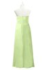 ColsBM Myah Butterfly Plus Size Bridesmaid Dresses Floor Length Zip up A-line Glamorous Pleated Scoop