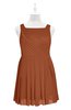 ColsBM Zariah Bombay Brown Plus Size Bridesmaid Dresses Ruching Mature Square Zip up Sleeveless A-line