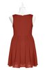 ColsBM Zariah Rust Plus Size Bridesmaid Dresses Ruching Mature Square Zip up Sleeveless A-line