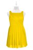 ColsBM Zariah Yellow Plus Size Bridesmaid Dresses Ruching Mature Square Zip up Sleeveless A-line