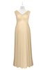 ColsBM Malaya Apricot Gelato Plus Size Bridesmaid Dresses Ruching Elegant A-line Floor Length V-neck Zipper