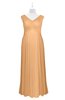 ColsBM Malaya Apricot Plus Size Bridesmaid Dresses Ruching Elegant A-line Floor Length V-neck Zipper