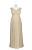ColsBM Malaya Champagne Plus Size Bridesmaid Dresses Ruching Elegant A-line Floor Length V-neck Zipper