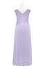ColsBM Malaya Light Purple Plus Size Bridesmaid Dresses Ruching Elegant A-line Floor Length V-neck Zipper