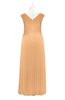 ColsBM Malaya Salmon Buff Plus Size Bridesmaid Dresses Ruching Elegant A-line Floor Length V-neck Zipper