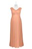 ColsBM Malaya Salmon Plus Size Bridesmaid Dresses Ruching Elegant A-line Floor Length V-neck Zipper
