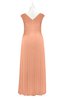 ColsBM Malaya Salmon Plus Size Bridesmaid Dresses Ruching Elegant A-line Floor Length V-neck Zipper
