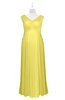 ColsBM Malaya Yellow Iris Plus Size Bridesmaid Dresses Ruching Elegant A-line Floor Length V-neck Zipper