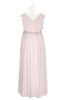 ColsBM Simone Angel Wing Plus Size Bridesmaid Dresses Pleated Sleeveless Elegant A-line V-neck Floor Length