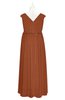 ColsBM Simone Bombay Brown Plus Size Bridesmaid Dresses Pleated Sleeveless Elegant A-line V-neck Floor Length
