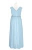 ColsBM Simone Ice Blue Plus Size Bridesmaid Dresses Pleated Sleeveless Elegant A-line V-neck Floor Length