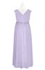 ColsBM Simone Light Purple Plus Size Bridesmaid Dresses Pleated Sleeveless Elegant A-line V-neck Floor Length