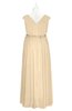 ColsBM Simone Marzipan Plus Size Bridesmaid Dresses Pleated Sleeveless Elegant A-line V-neck Floor Length