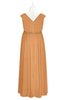 ColsBM Simone Pheasant Plus Size Bridesmaid Dresses Pleated Sleeveless Elegant A-line V-neck Floor Length