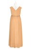 ColsBM Simone Salmon Buff Plus Size Bridesmaid Dresses Pleated Sleeveless Elegant A-line V-neck Floor Length
