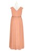 ColsBM Simone Salmon Plus Size Bridesmaid Dresses Pleated Sleeveless Elegant A-line V-neck Floor Length