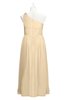 ColsBM Saylor Apricot Gelato Plus Size Bridesmaid Dresses Floor Length Zip up Cute A-line Flower Sleeveless