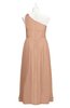 ColsBM Saylor Burnt Orange Plus Size Bridesmaid Dresses Floor Length Zip up Cute A-line Flower Sleeveless