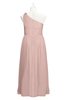 ColsBM Saylor Dusty Rose Plus Size Bridesmaid Dresses Floor Length Zip up Cute A-line Flower Sleeveless