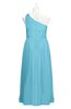 ColsBM Saylor Light Blue Plus Size Bridesmaid Dresses Floor Length Zip up Cute A-line Flower Sleeveless