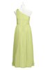 ColsBM Saylor Lime Sherbet Plus Size Bridesmaid Dresses Floor Length Zip up Cute A-line Flower Sleeveless
