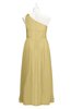 ColsBM Saylor New Wheat Plus Size Bridesmaid Dresses Floor Length Zip up Cute A-line Flower Sleeveless