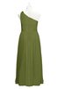 ColsBM Saylor Olive Green Plus Size Bridesmaid Dresses Floor Length Zip up Cute A-line Flower Sleeveless