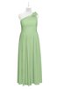 ColsBM Saylor Sage Green Plus Size Bridesmaid Dresses Floor Length Zip up Cute A-line Flower Sleeveless