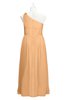 ColsBM Saylor Salmon Buff Plus Size Bridesmaid Dresses Floor Length Zip up Cute A-line Flower Sleeveless