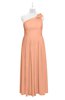 ColsBM Saylor Salmon Plus Size Bridesmaid Dresses Floor Length Zip up Cute A-line Flower Sleeveless