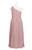 ColsBM Saylor Silver Pink Plus Size Bridesmaid Dresses Floor Length Zip up Cute A-line Flower Sleeveless