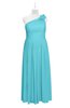ColsBM Saylor Turquoise Plus Size Bridesmaid Dresses Floor Length Zip up Cute A-line Flower Sleeveless