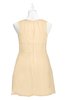 ColsBM Zaniyah Apricot Gelato Plus Size Bridesmaid Dresses Jewel Mini Casual A-line Zip up Sleeveless