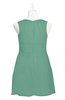ColsBM Zaniyah Beryl Green Plus Size Bridesmaid Dresses Jewel Mini Casual A-line Zip up Sleeveless