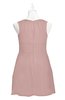 ColsBM Zaniyah Blush Pink Plus Size Bridesmaid Dresses Jewel Mini Casual A-line Zip up Sleeveless