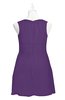 ColsBM Zaniyah Dark Purple Plus Size Bridesmaid Dresses Jewel Mini Casual A-line Zip up Sleeveless