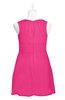 ColsBM Zaniyah Fandango Pink Plus Size Bridesmaid Dresses Jewel Mini Casual A-line Zip up Sleeveless