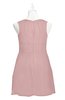 ColsBM Zaniyah Silver Pink Plus Size Bridesmaid Dresses Jewel Mini Casual A-line Zip up Sleeveless