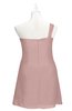 ColsBM Nataly Blush Pink Plus Size Bridesmaid Dresses Simple Sleeveless Column Ruching Asymmetric Neckline Zipper