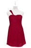 ColsBM Nataly Dark Red Plus Size Bridesmaid Dresses Simple Sleeveless Column Ruching Asymmetric Neckline Zipper